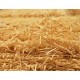 FARDO DE 5KG DE VIRUTA DE MADERA